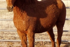 bp left front 4-10-09