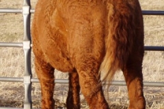 bp left rear 4-10-09