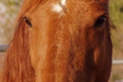 bp proud face 4-10-09