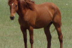 peep left fritnish 6-28-09