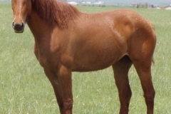 peep left posed 6-28-09