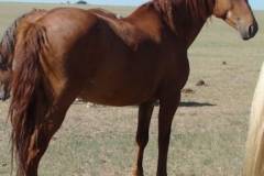 peep rt rear 6-28-13