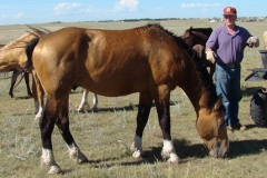 quirt and don 8-21-11