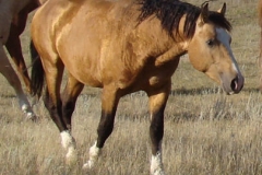 quirt front rtish 9-10-11