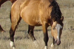 quirt front rtish eating 9-10-11