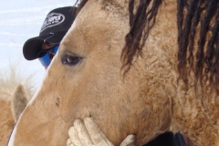 quirt head left closeup 11-3-11