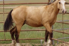 quirt rt turing in corner 9207