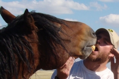 sed gets his treat the hard way 9-20-14