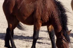 sed rt eating 111806