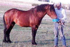 sed summer 2005 rt eating with don