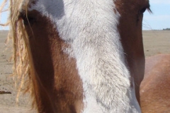 slide face closeup 5-26-12