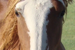 slide face closeup 7-23-12