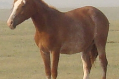 slide left frontish 7-4-12