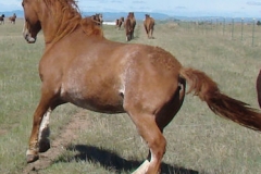 slide left rear cahrging out 5-16-15