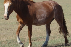 slide left walking 6-28-13