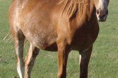 slide rt frontish 7-23-12