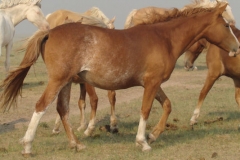 slide rt walking 7-4-12