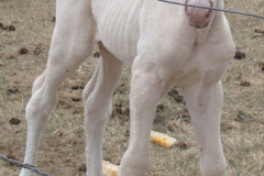 sue front rtish alert and pretty 5-19-12