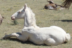 sue left getting up 8-3-12