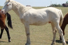 sue left posing 7-21-13