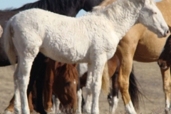 sue rt blurry 1-2-12