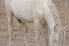 sue rt front at salt 11-22-14