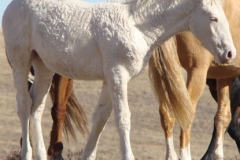sue rt front walking 11-2-12