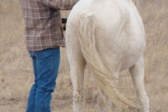 sue with tyler rear 11-22-14