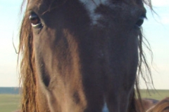 thor face closeup 7-19-12