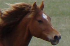 Tuesday face rt at a run 5-20-10