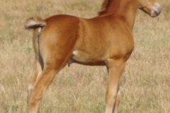 Tuesday rt proud 7807