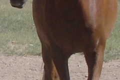 tuesday front leftish 6-28-13