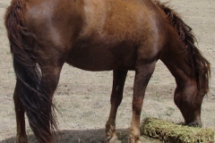 tuesday rt rearish eating 5-27-12