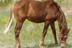 uesday rt eating 7508