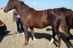 urchin laft with dons hand 9-20-14