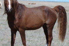 urchin left prety pose 5-16-10