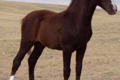 urchin rt posing 81306