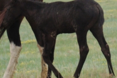 drew-left-walking-7-21-12