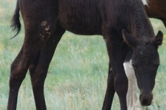 drew-rt-eating-7-21-12