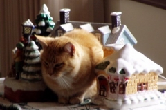 goldie in the xmas village 06