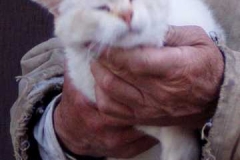 whitie in dons hands getting chin scratched