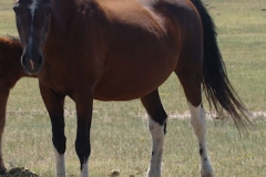 trixie rt front 7-21-13