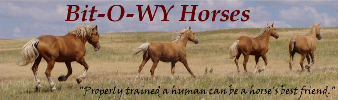 Bit-O-WY Horses